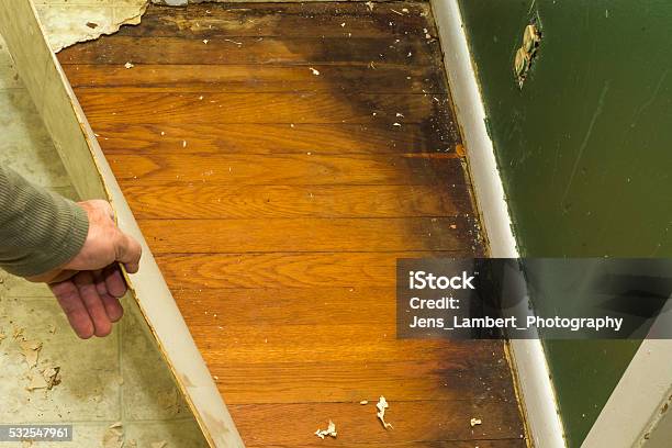 Original Hardwood Floors Stock Photo - Download Image Now - 2015, Baseboard, DIY