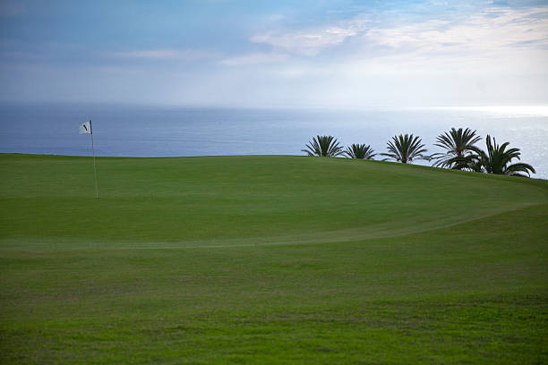 istock Golf green over the ocean 532548815