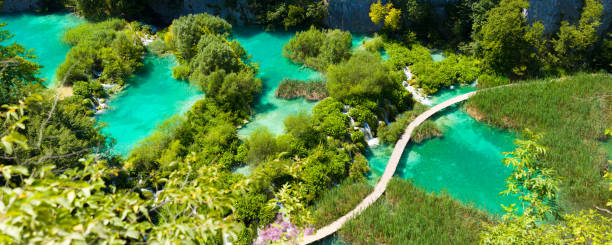 национальный парк плитвицкие озера, хорватия - plitvice lakes national park water lake national park стоковые фото и изображения