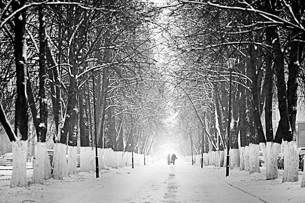 istock Snowy winter road in a park 532551681