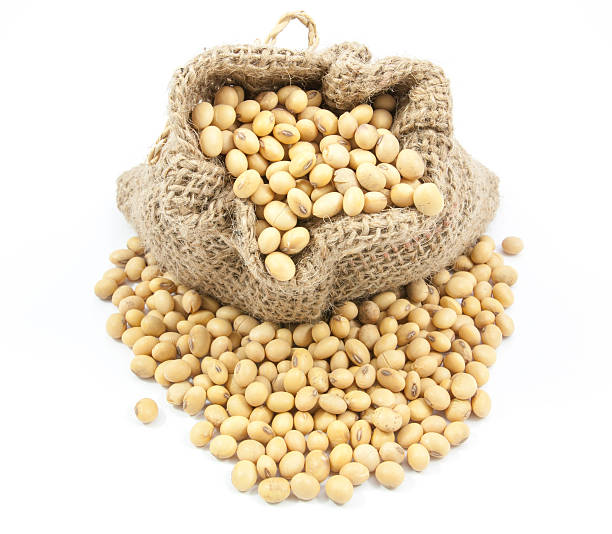 istock Dried soybean  in canvas sack 532552752