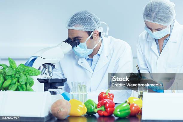 Food Scientists Using The Microscope For Research Stock Photo - Download Image Now - Food, Genetic Modification, Laboratory