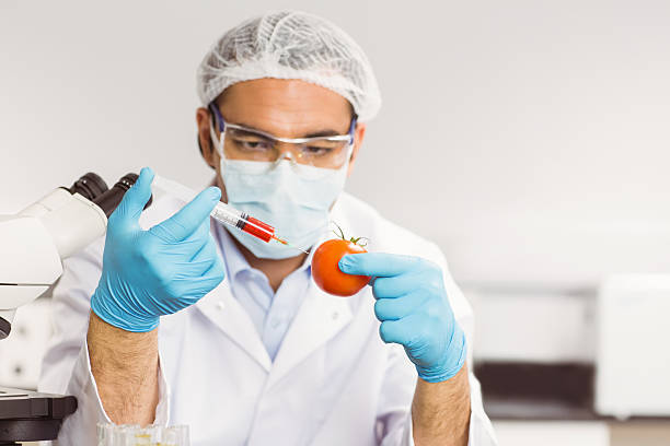 istock Food scientist injecting a tomato 532552847