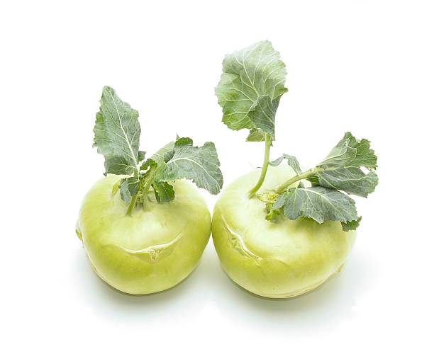 fresh cavolo rapa - kohlrabi turnip kohlrabies cabbage foto e immagini stock