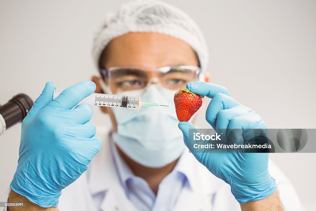 Food scientist injecting a strawberry Food scientist injecting a strawberry at the university 20-24 Years Stock Photo