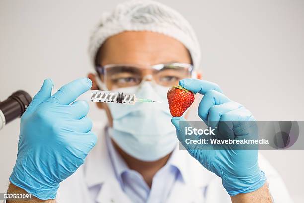 Food Scientist Injecting A Strawberry Stock Photo - Download Image Now - 20-24 Years, 20-29 Years, 2015