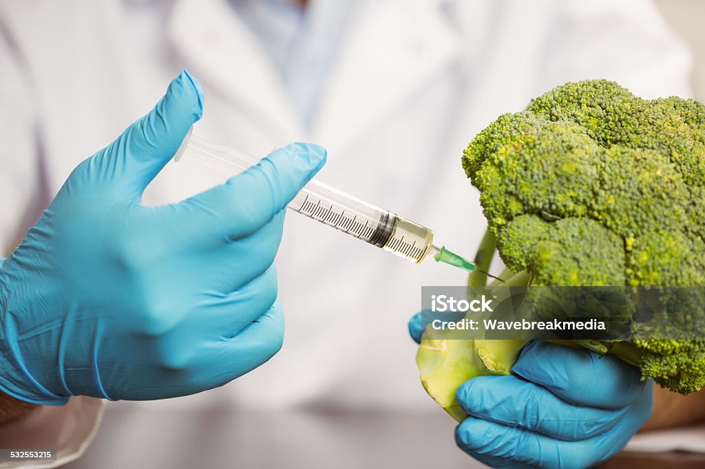 Food scientist injecting head of broccoli Food scientist injecting head of broccoli at the university 2015 Stock Photo