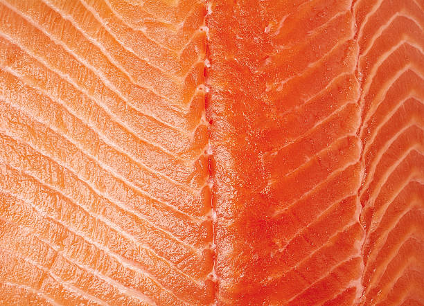 istock Fresh raw salmon fillet background 532554298