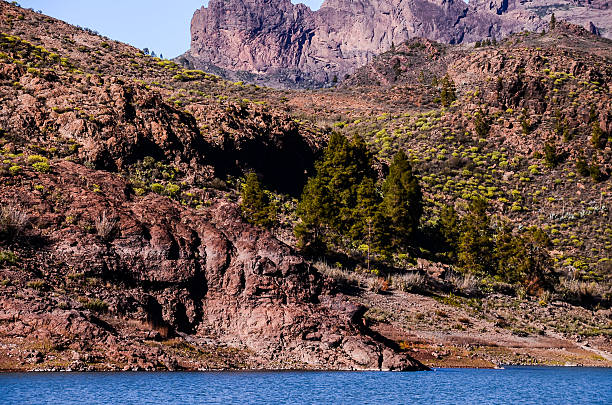 istock Volcanic Rock Basaltic Formation in Gran Canaria 532555526