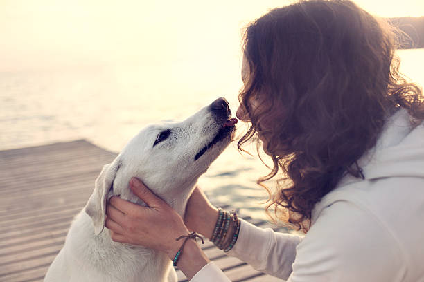 istock His owner dog licks gently, loving gesture 532555676