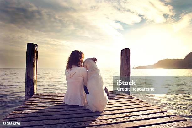 Dog Rests Gently On His Masters Shoulder While Looking View Stock Photo - Download Image Now