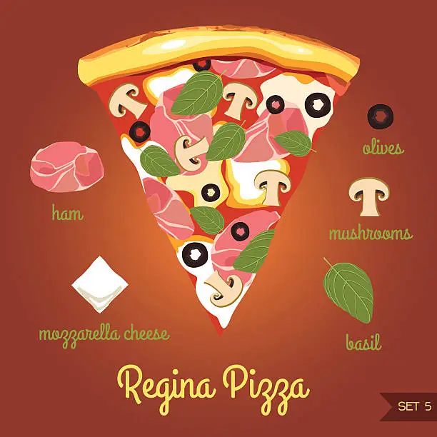 Vector illustration of Regina pizza with ingredients