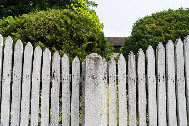 istock White wood wall near green tree 532558544