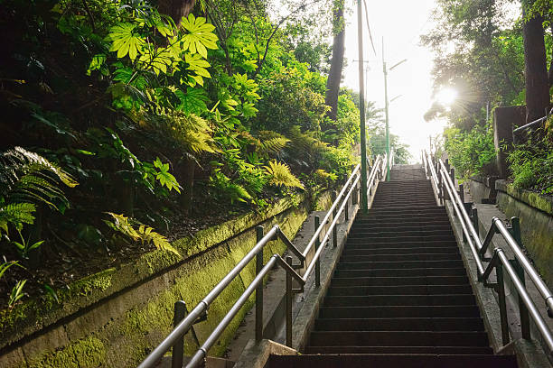 escaleras en tokio - distrito de setagaya fotografías e imágenes de stock