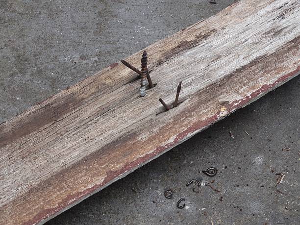 istock Rusty Nails in an old timber fence paling, on concrete 532561144