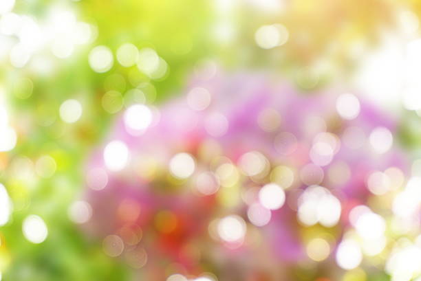 soft abstract nature blur bokeh in pastel color background