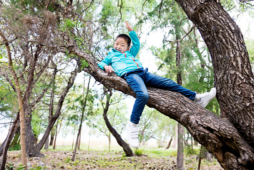 Little asian boy sitting on a tree branch.