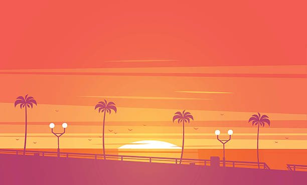 illustrations, cliparts, dessins animés et icônes de coucher de soleil sur la plage. illustration vectorielle. - mer horizon bleu