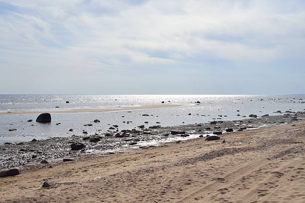 istock Coast of Baltic Sea. 532570180