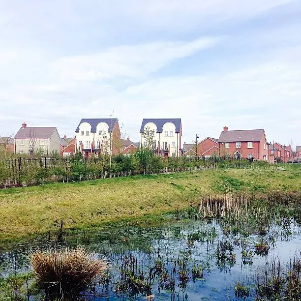 New housing estate on the outskirts of a rural Dorset town. View from the sustainable urban drainage - SUDS