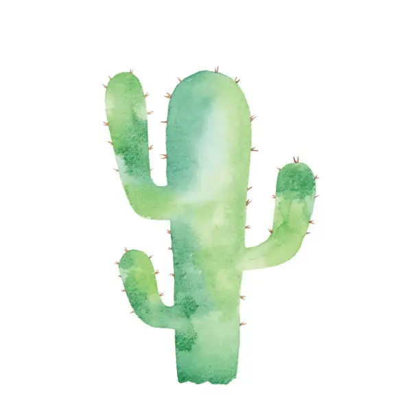 Vector illustration of Watercolor Cactus