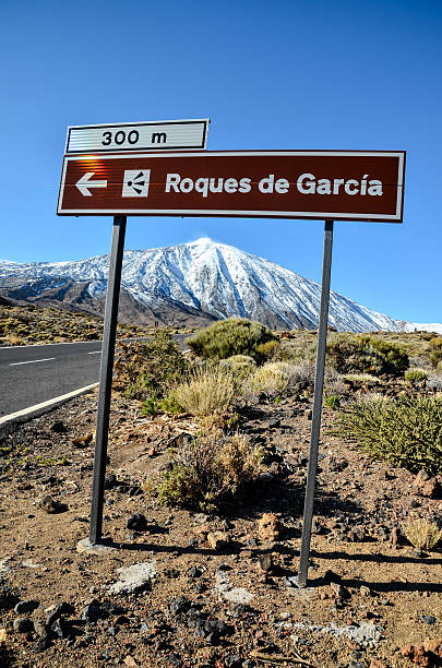 istock Desert Landscape in Volcan Teide National Park 532572234