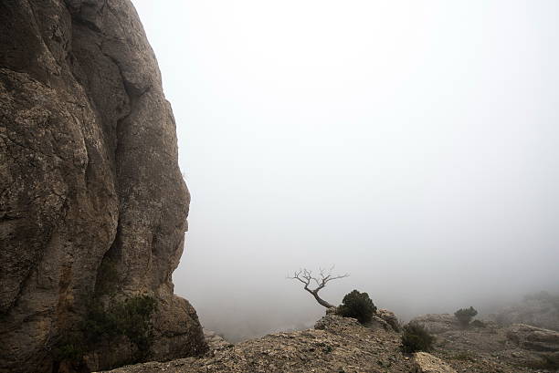 mystical misty mountain landscape rocky peak