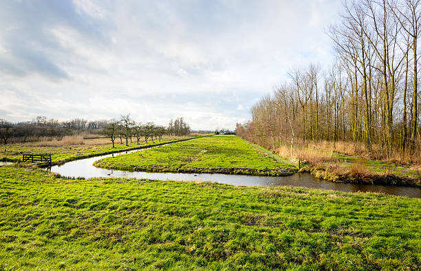 istock Picturesque Dutch polder landscape in fall colors 532574042