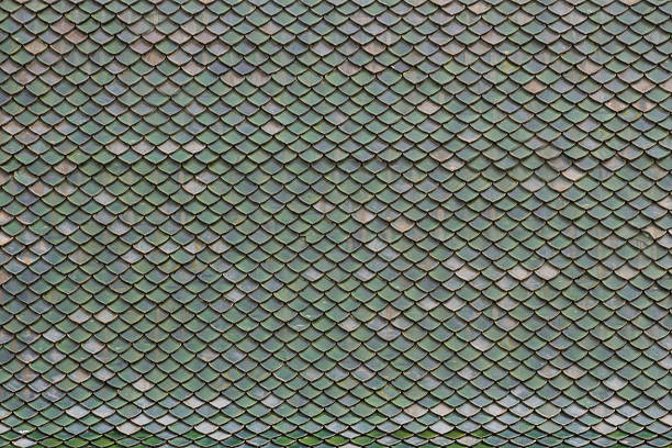 istock Dark green color roof 532574523