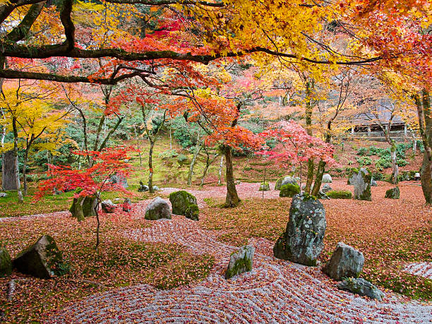istock japan autumn tree background - Stock Image 532577695