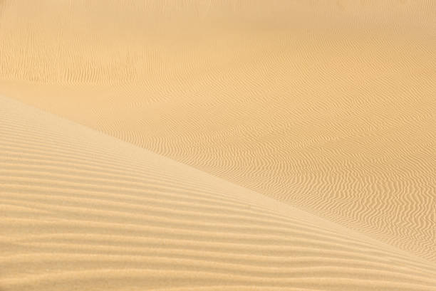 istock Desert - landscape with sand dunes 532578194