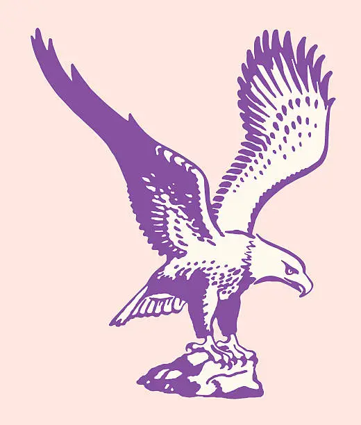 Vector illustration of American Eagle