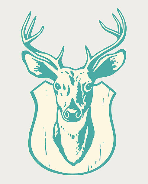 berittener deer kopf - totes tier stock-grafiken, -clipart, -cartoons und -symbole