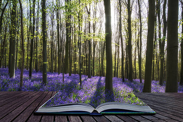 istock Creative concept image Stunning bluebell flowers in Spring fores 532596869