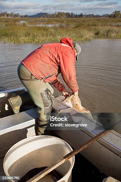 Eel Fisherman Stock Photo - Download Image Now - 2015, Adult, Adults Only
