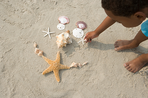 Boy making pattern with shells
