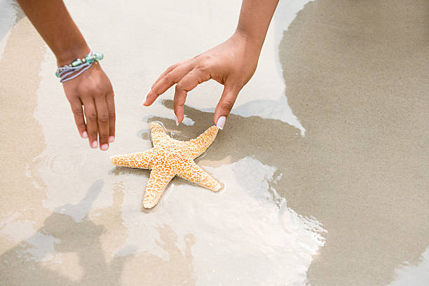 istock Mother and daughter picking up starfish 532606219