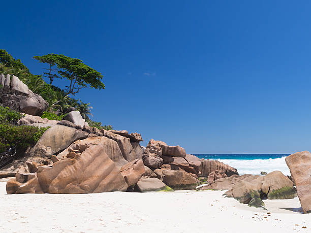 istock white coral sand in Seychelles 532606865