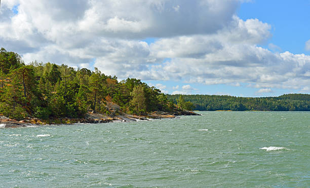 istock Sea with waves and rocky shore with forest 532608345