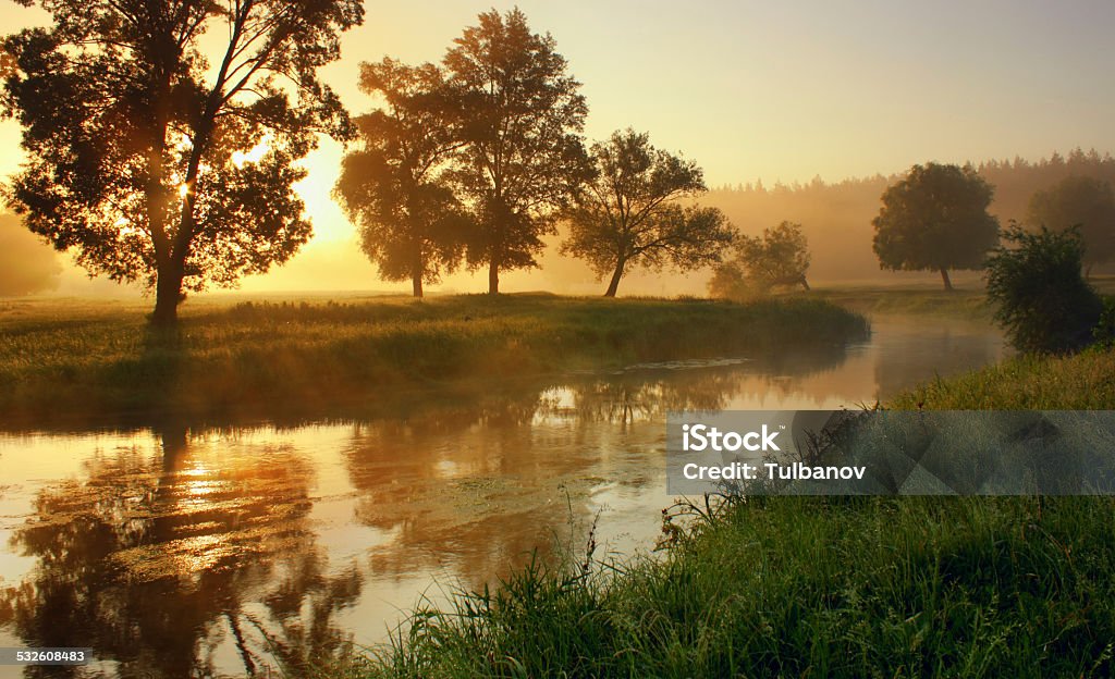 Dawn on the river Spring fog on the river 2015 Stock Photo