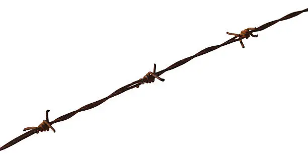 old rusty barbed wire and white background