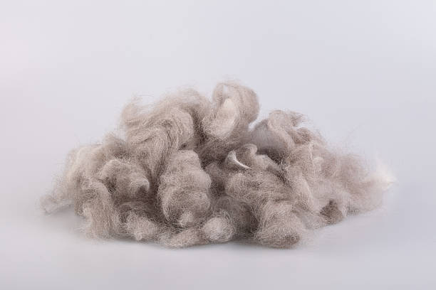raw wool yarn coiled into a ball - wol stockfoto's en -beelden