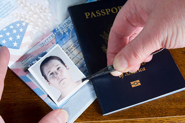 Forging Passport Picture Hand with tweezers holding id photo over passport as if forging the travel documents imitation stock pictures, royalty-free photos & images