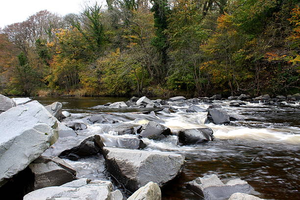 río wier exposición prolongada-otoño, distante photo - glade england autumn forest fotografías e imágenes de stock