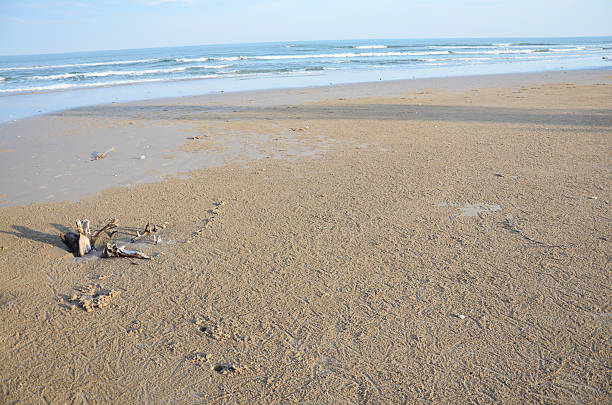 istock Hat Chao Samran beach at Morning and sunrise time 532626495