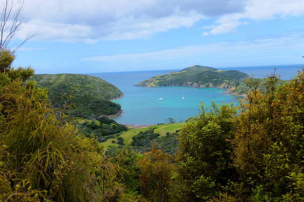 istock Deserted cove view from forest above 532627697
