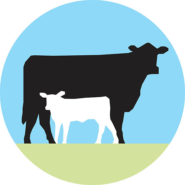 Cow and Calf A vector illustration of a cow and calf. pics of the holstein cow stock illustrations