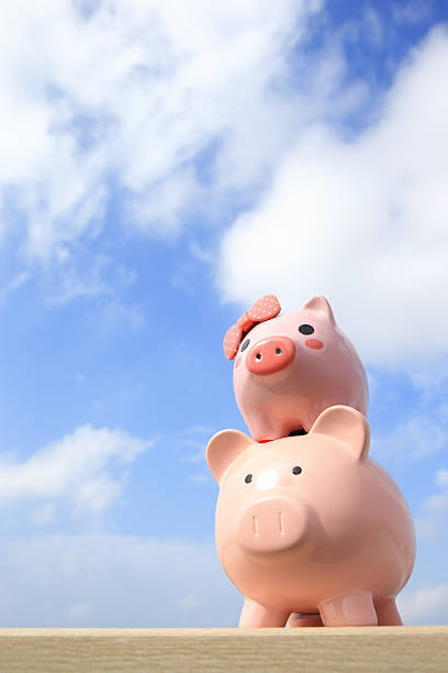 istock Pink piggy bank couple 532629285