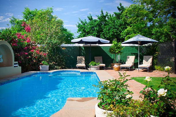 istock Swimming pool garden 532630079