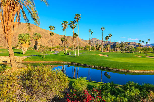 スプリング、パームスプリングスゴルフコースの池、カリフォルニアのヤシの木（ - lawn desert golf california ストックフォトと画像